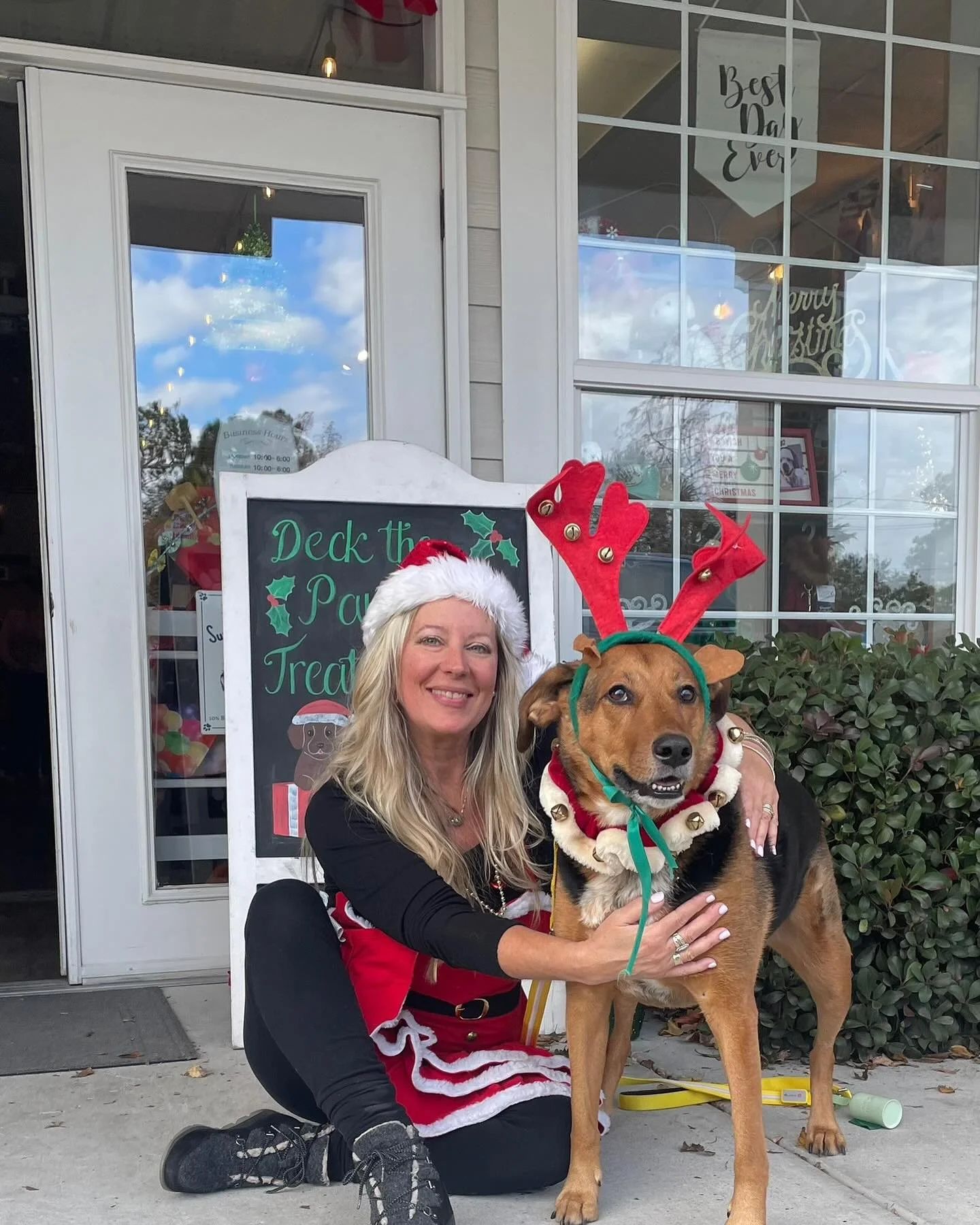 katie dog christmas.jpg