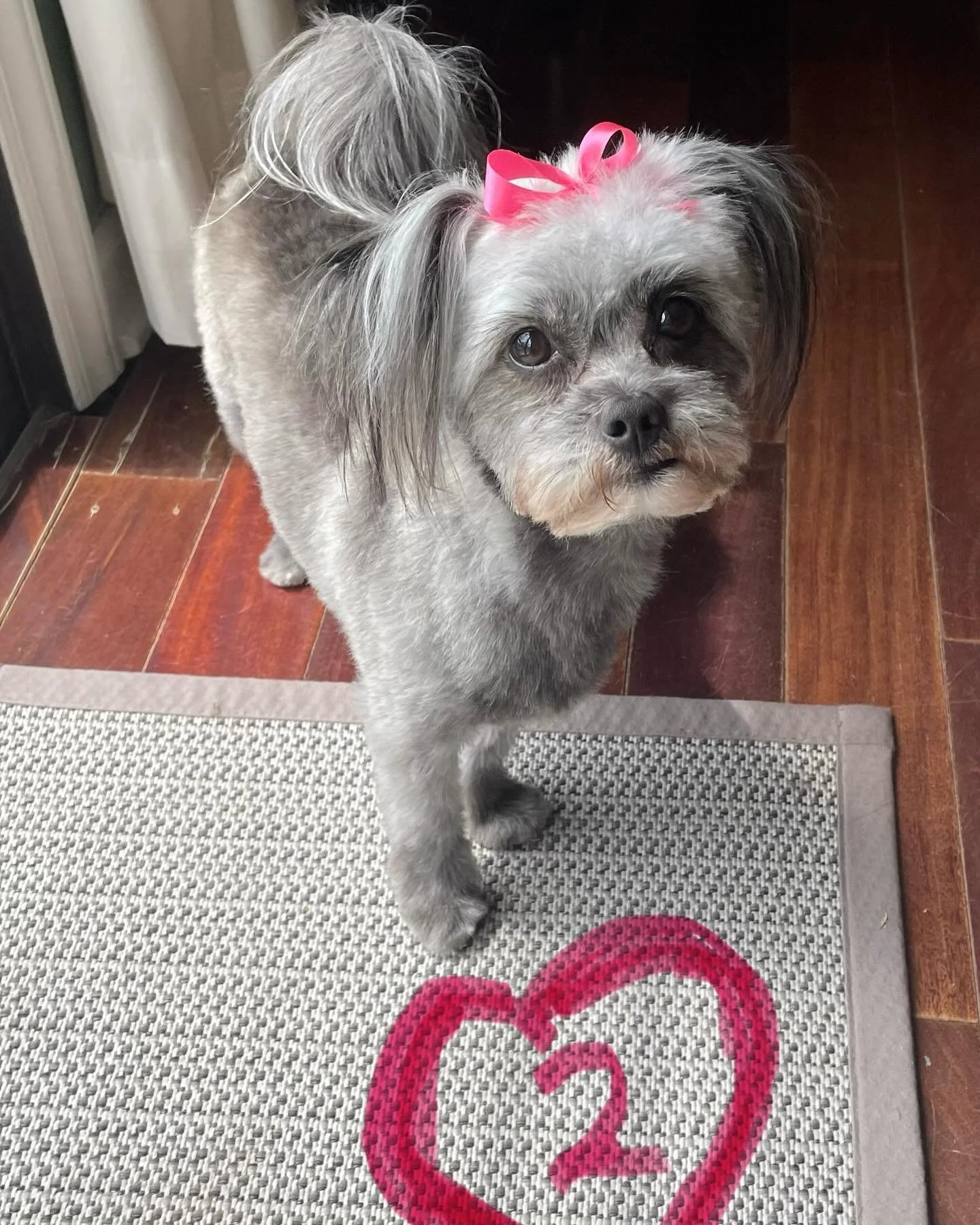 pup bday.jpg