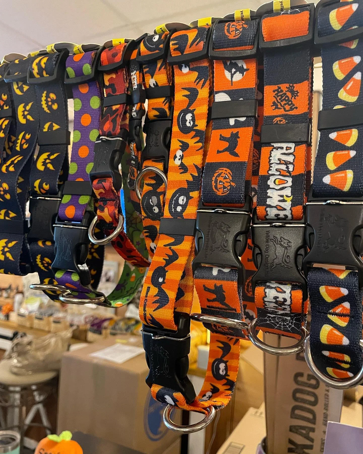 dog collars.jpg