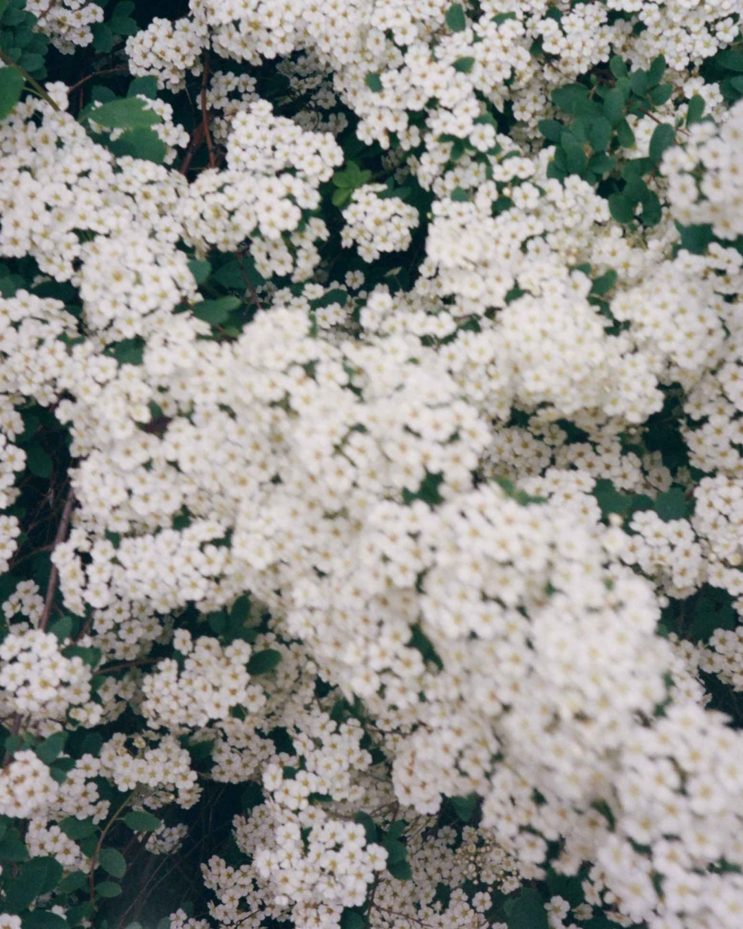 Post-Traumatic Growth