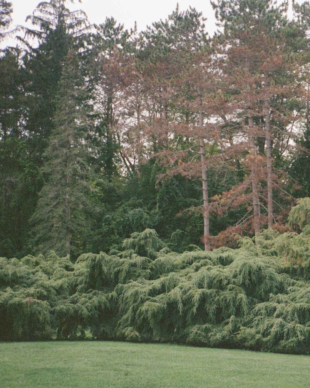 Anticipatory Grief: Coping With Loss Before It Happens