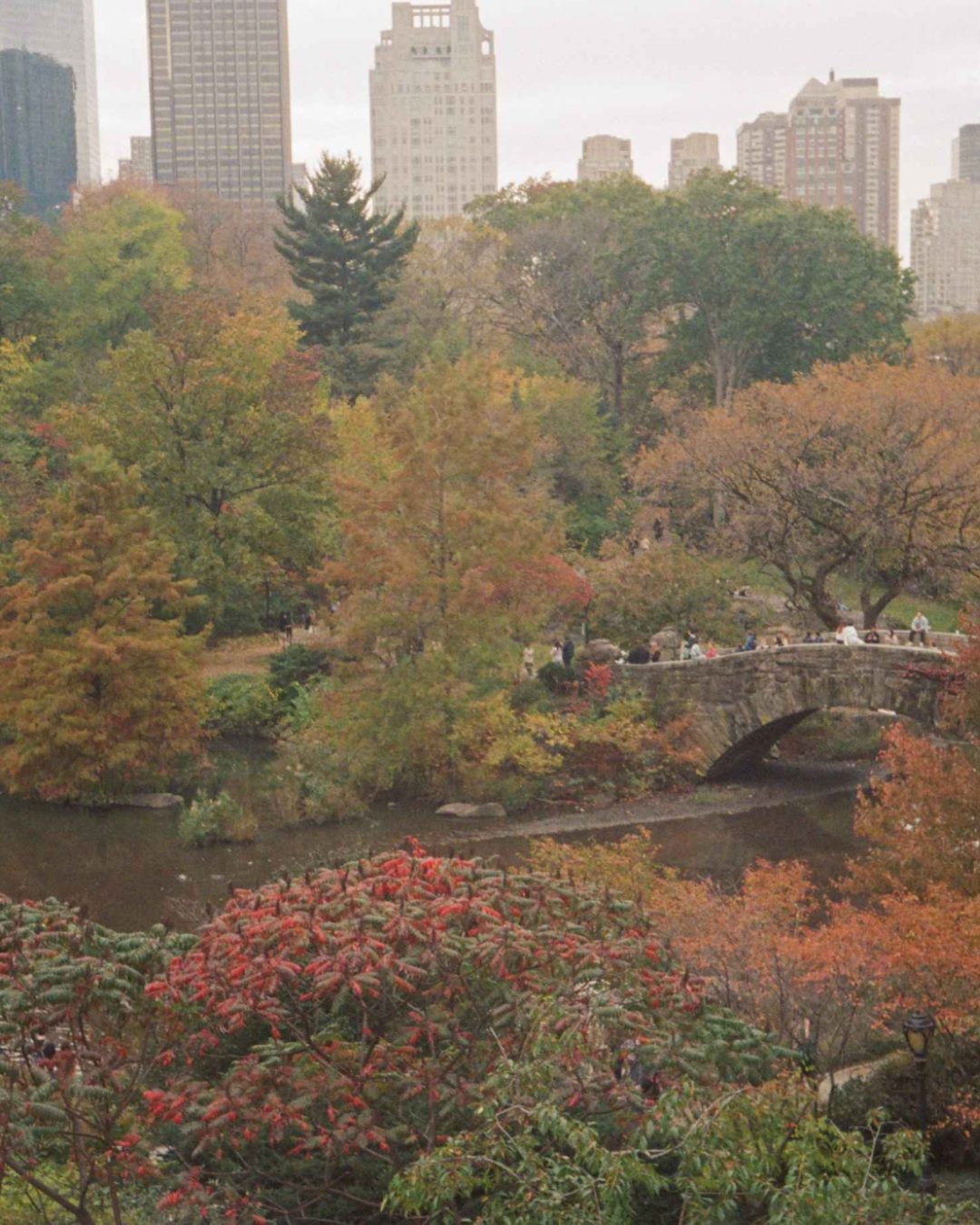 Self-Compassion: Meeting Yourself With Kindness