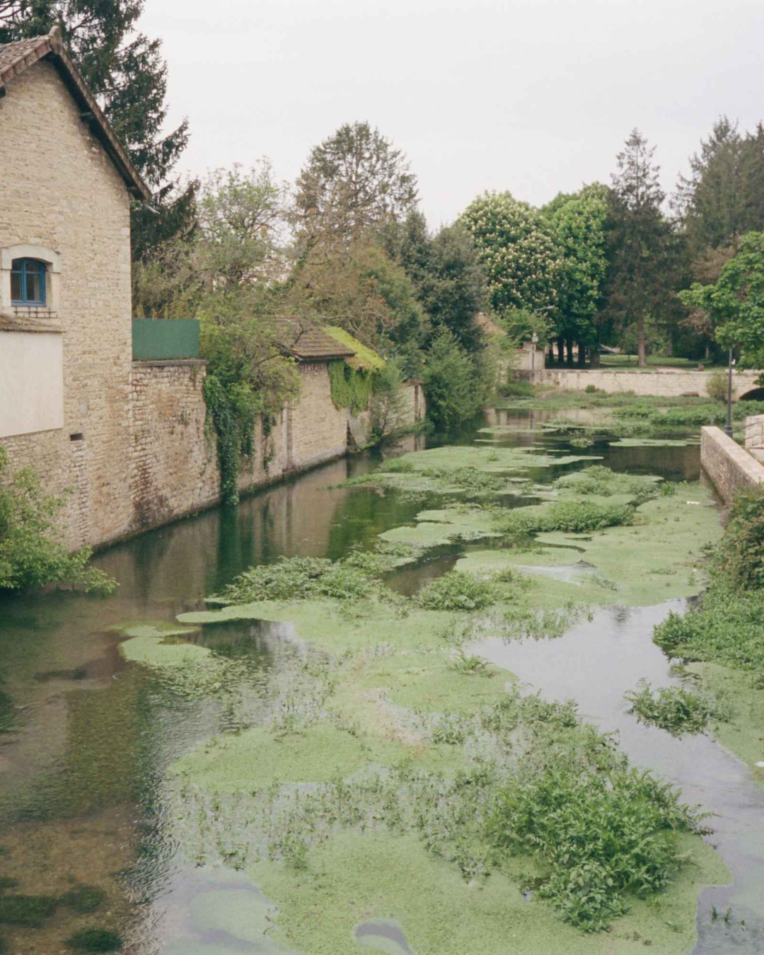 Disenfranchised Grief: Honoring Invisible Loss