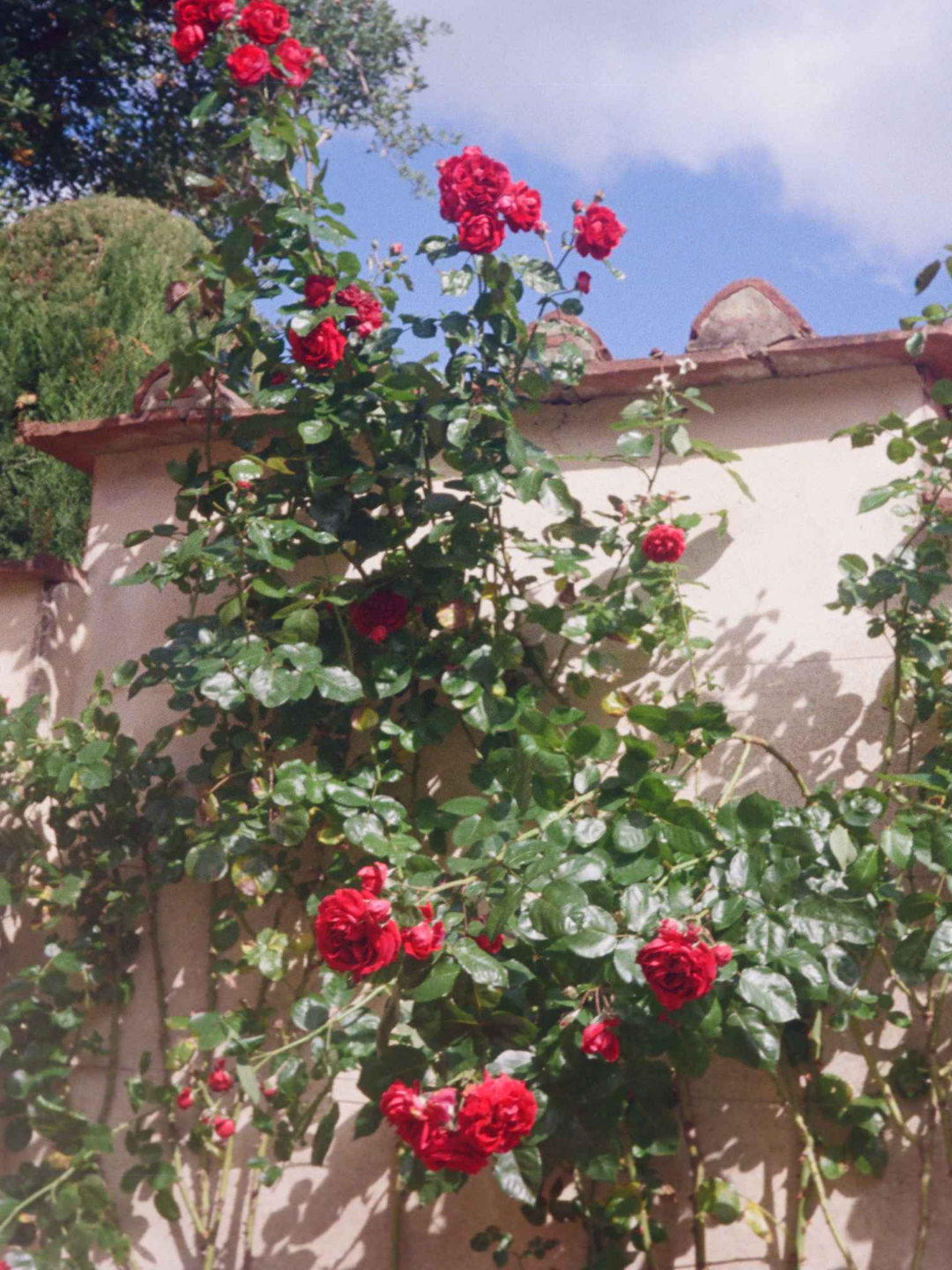 Understanding Denial In Grief