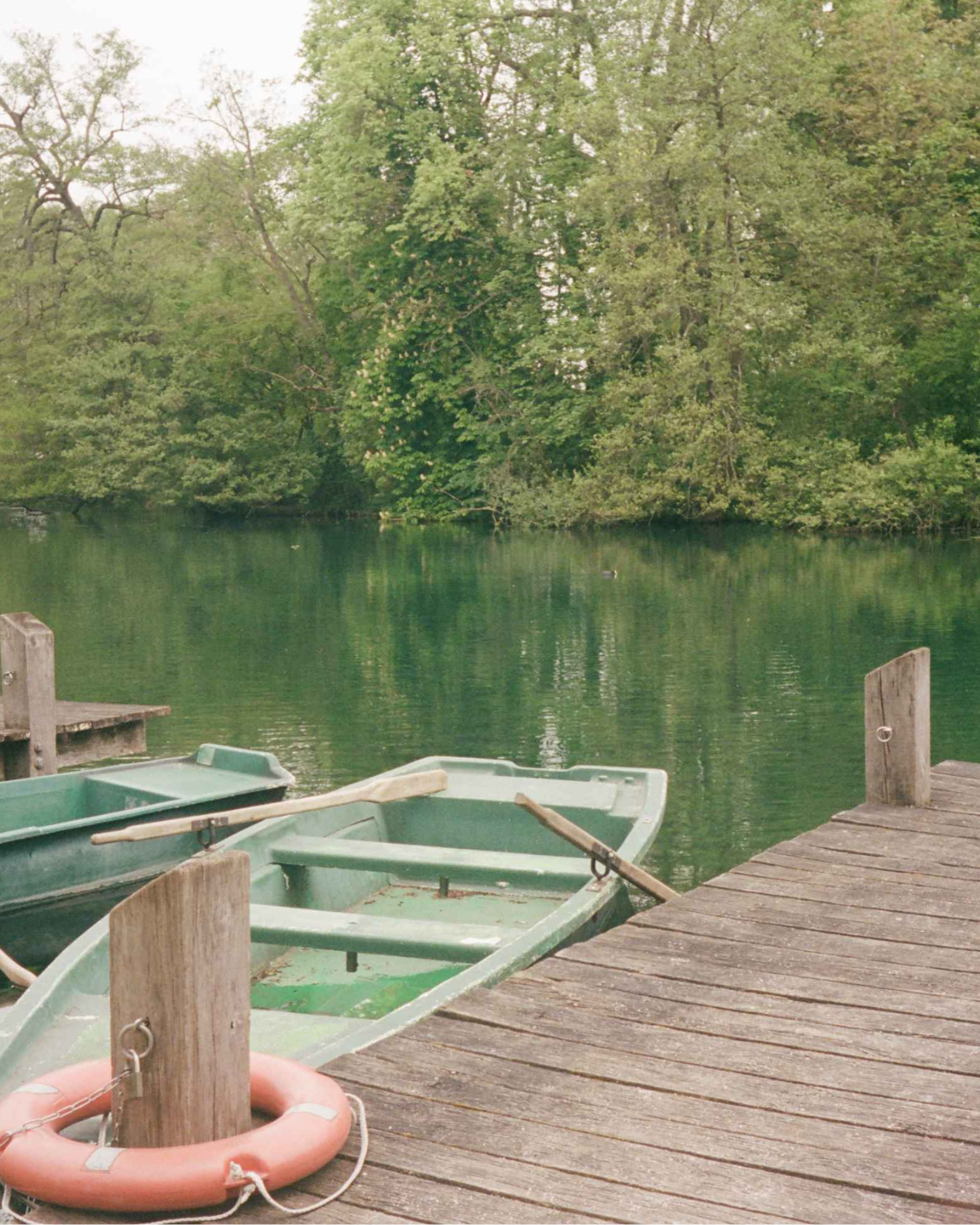 trees next to a green row boat and dock