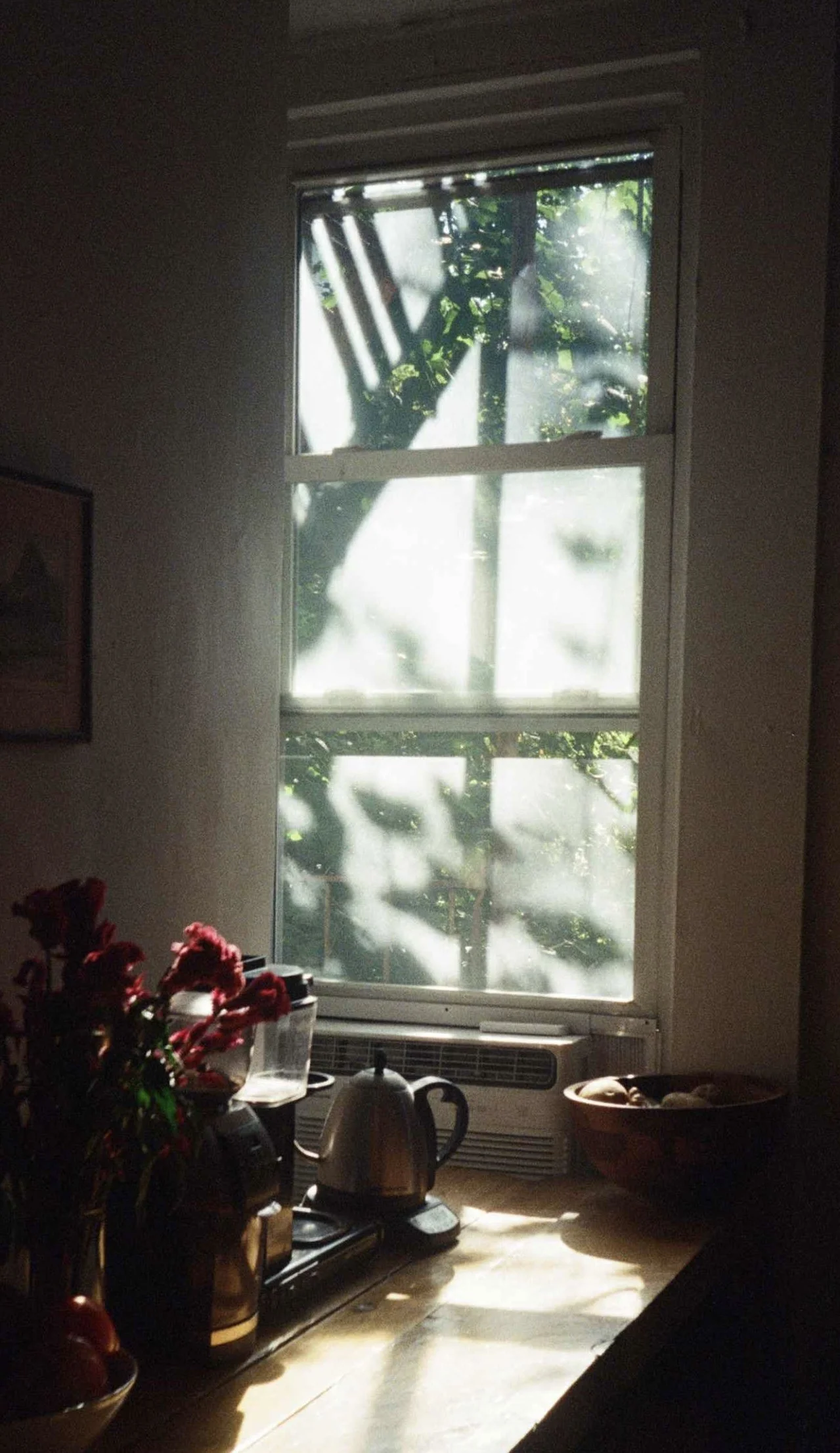 sunlight shining through window