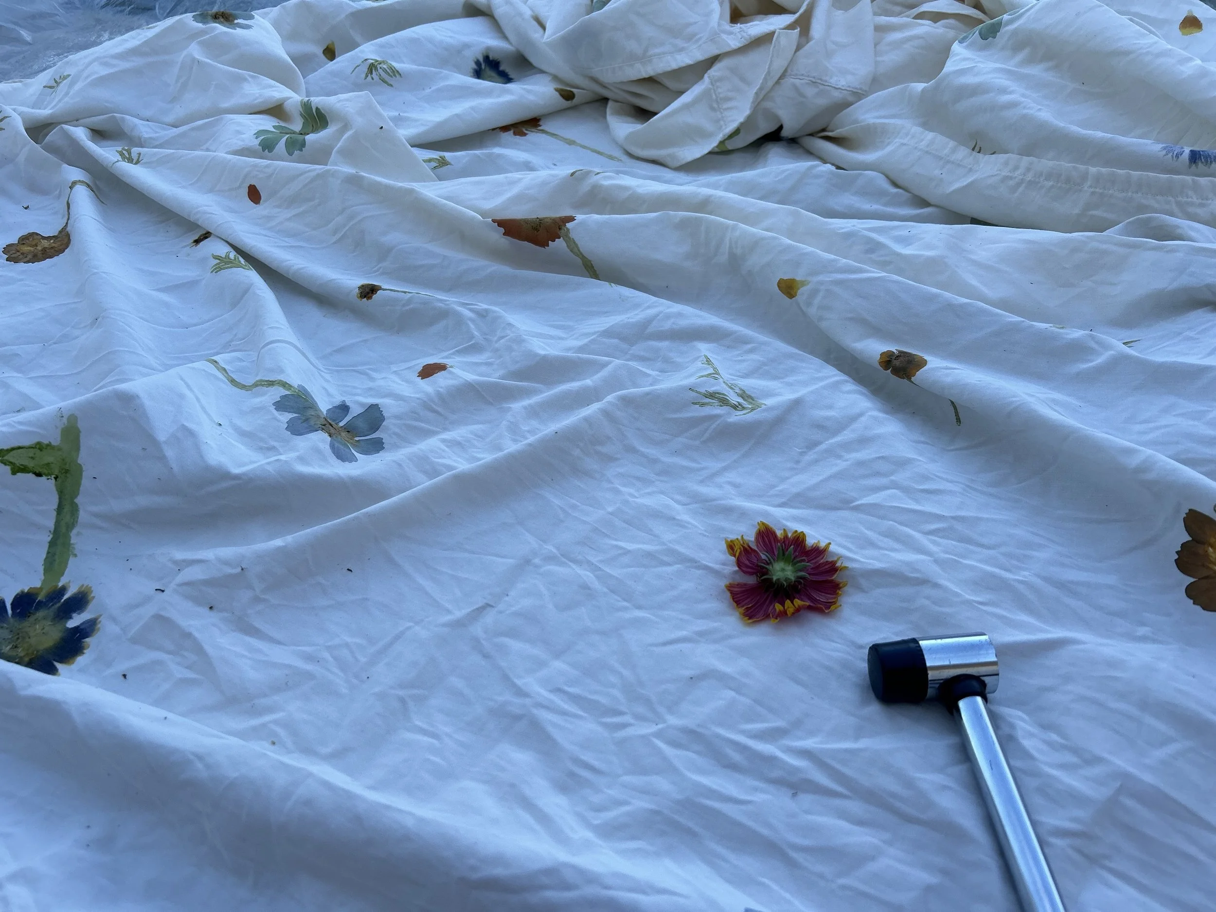 Flower 28.jpg