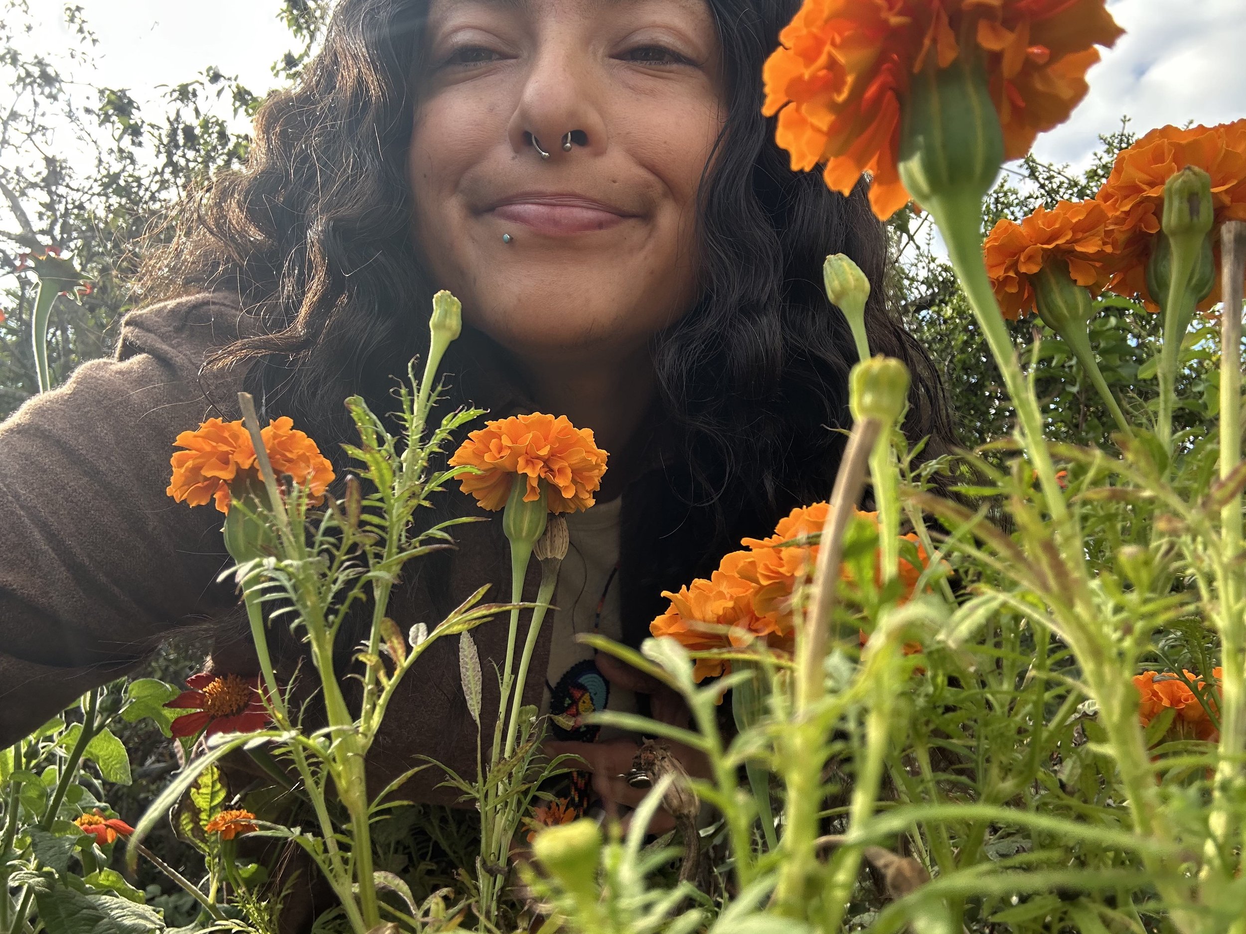 Flower harveting.jpg