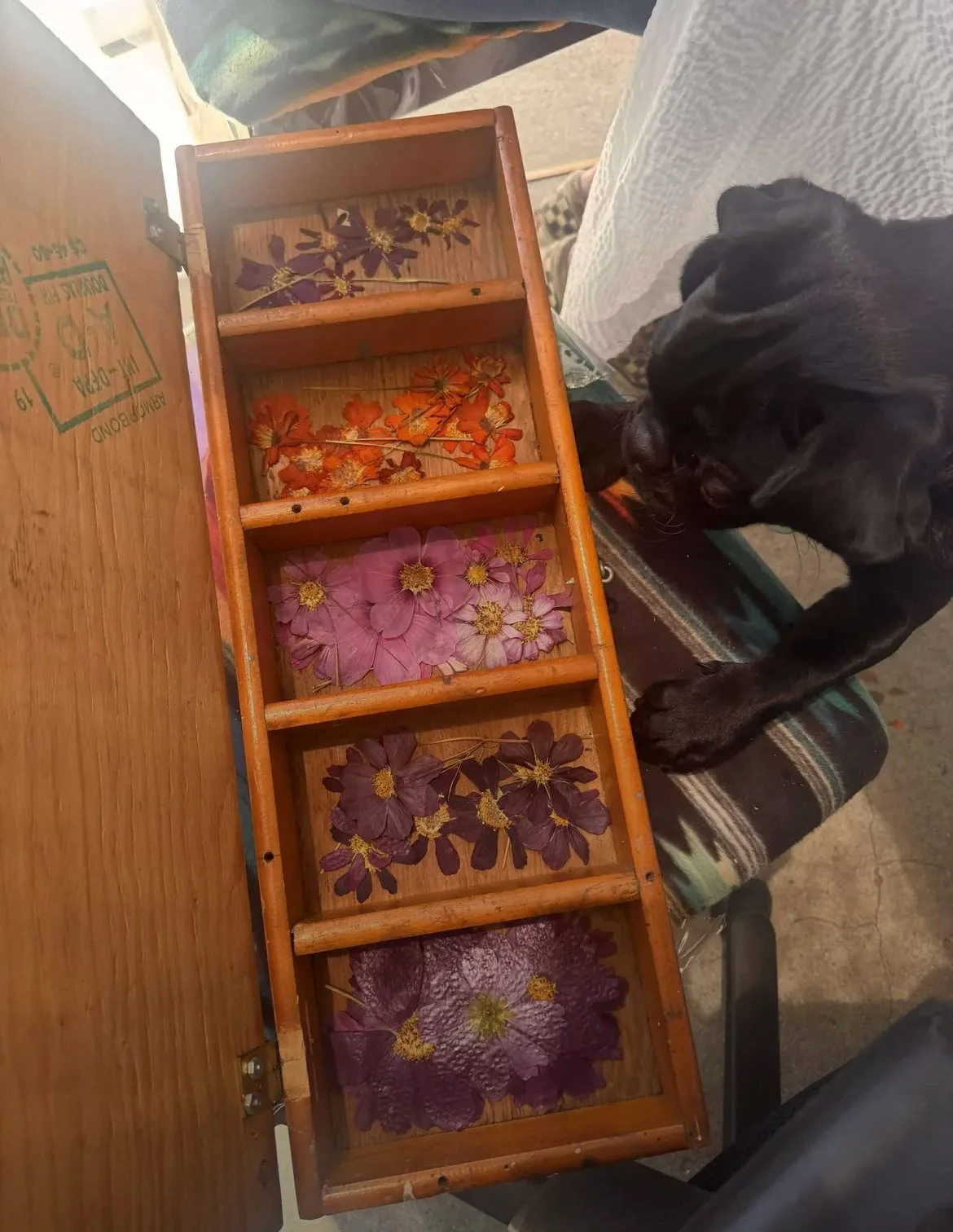 Flower Workshop Nacho.jpg