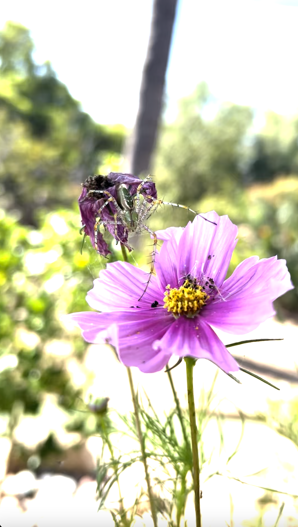 Screen Shot 2025-09-20 at 6.06.53 PM.png