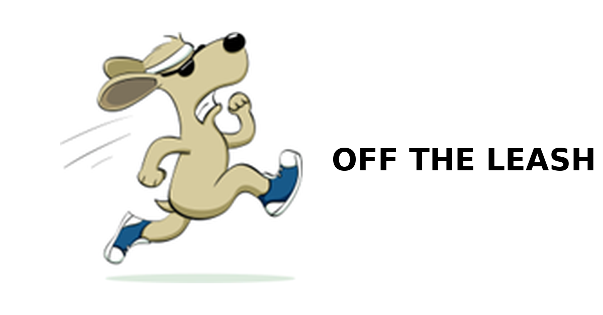 John Hurt – Risk, Audit &amp; Compliance Executive