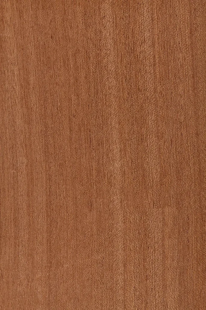 Image Sapele