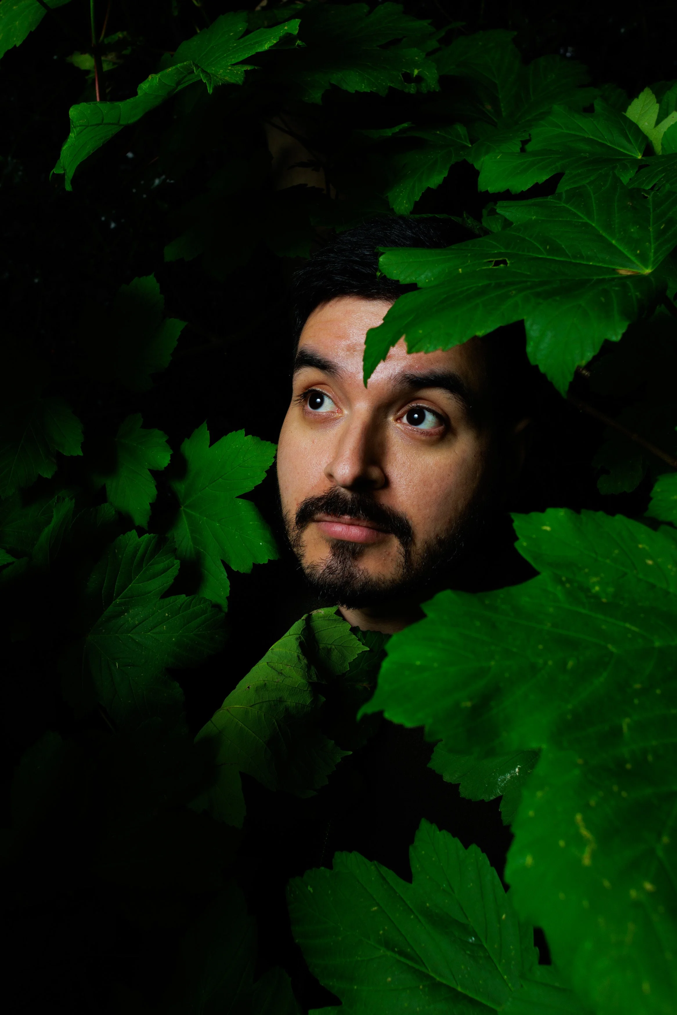 An experimental portrait of a person in the bushes, captured using a flash during a photography course.