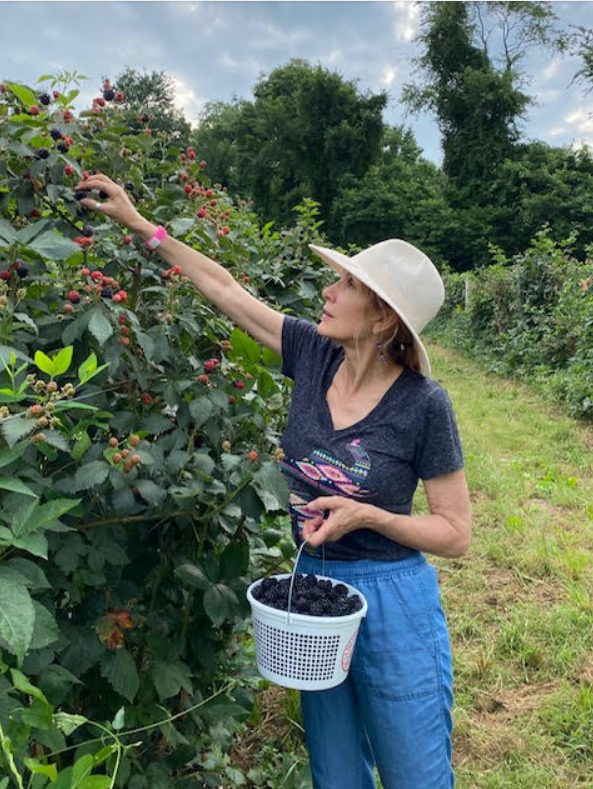 Carolyn Cooper harvesting blackberries in a lush green orchard, wearing a wide-brimmed hat and casual clothes, holding a basket of blackberries.