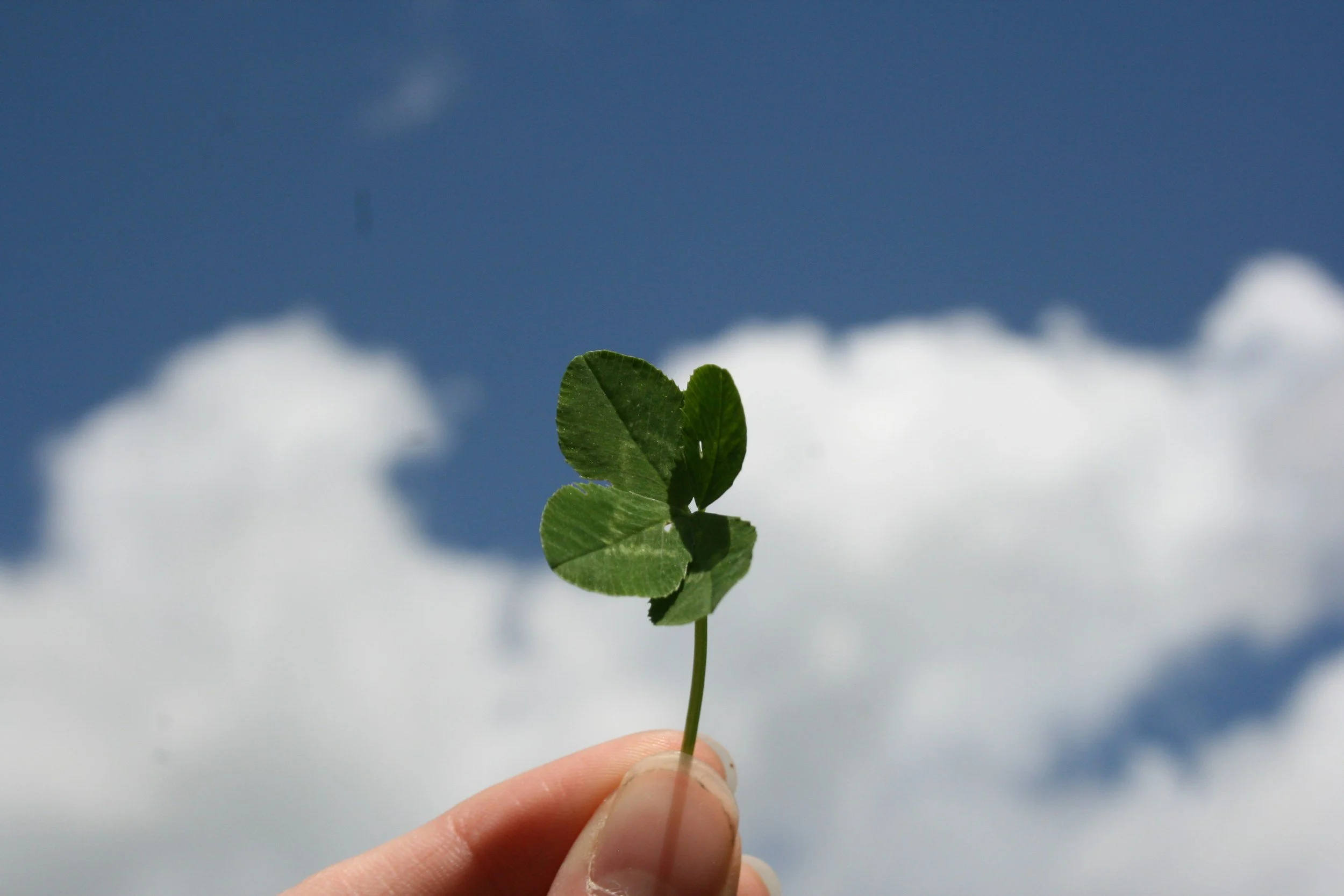 A hand holding a small green four-leaf clover against a blue sky with white clouds.
