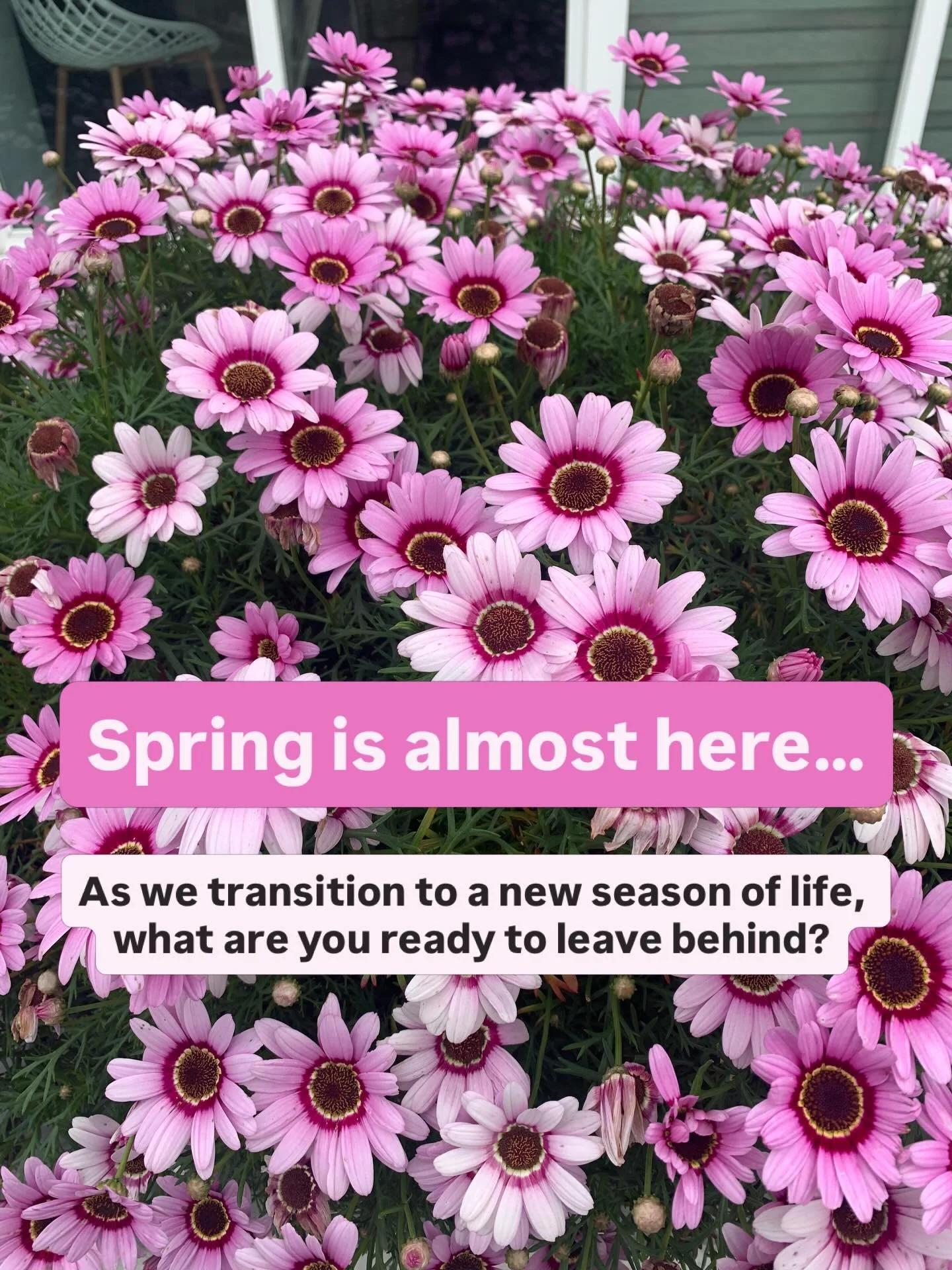 A new season always asks something of us&hellip;

To slow down. 
To reflect. 
To be honest about what we&rsquo;ve outgrown.

So here&rsquo;s your check-in:

What are you ready to leave behind this season?

We&rsquo;ve been working on something behind