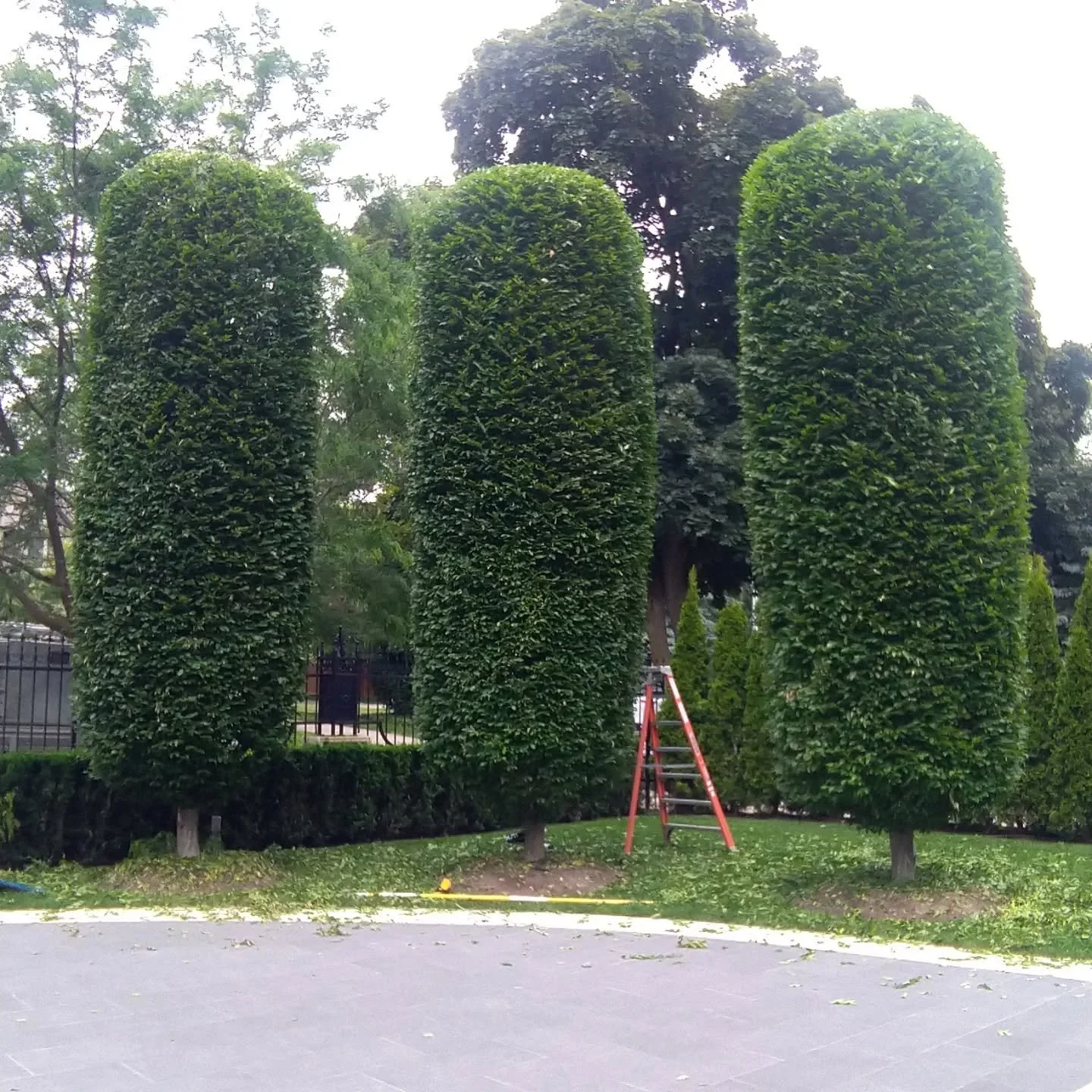 These hot dogs gave me heat stroke