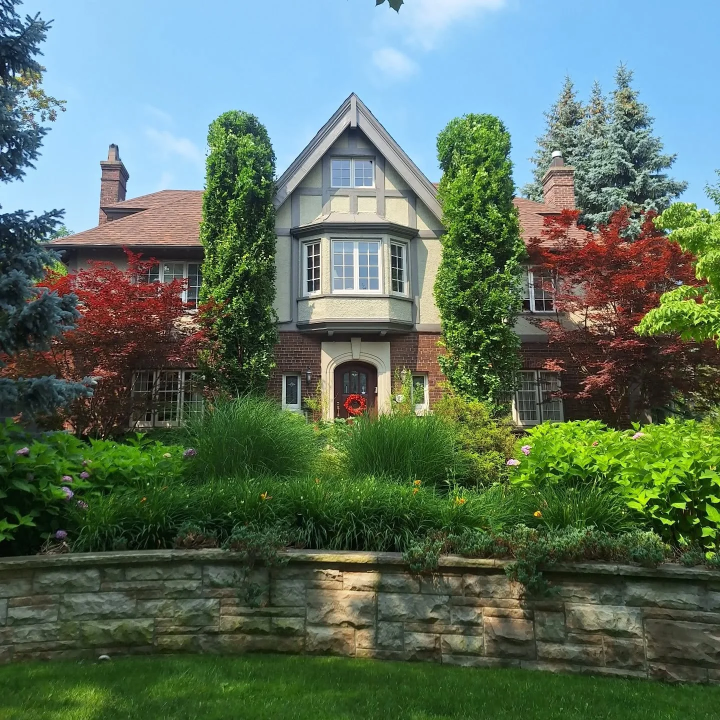 These columnar beeches hadn't been shaped before. Pulled them in to make the most hot doggy shape possible, as per client