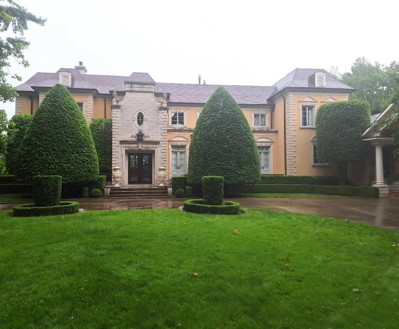 Hedging and shaping! The client showed me a photo of a beauty blender and said &quot;this&quot;
