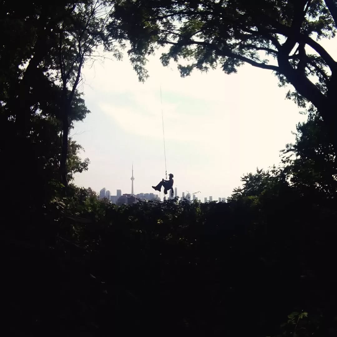 A shot of my coworker from a vista pruning job we did a few weeks back