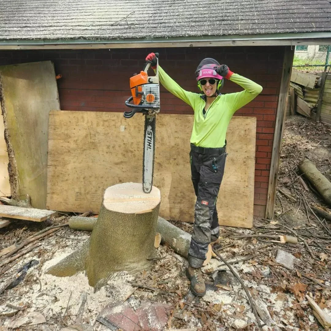 Biggest Norway removed to date! 2 codominant stems spread over two properties and their garages. I wish the stump looked as big as it felt. 

The wood is to be used for shoring on the ravine slope to help prevent erosion once the ravine stewardship a