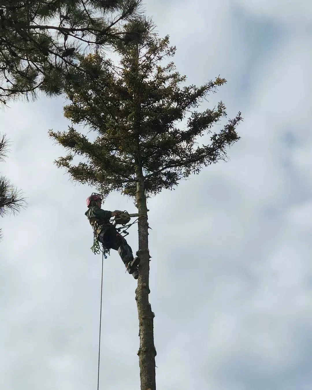 I'm very thankful for my co-worker for being an amazing photographer. I'm really stoked on these shots 🤠