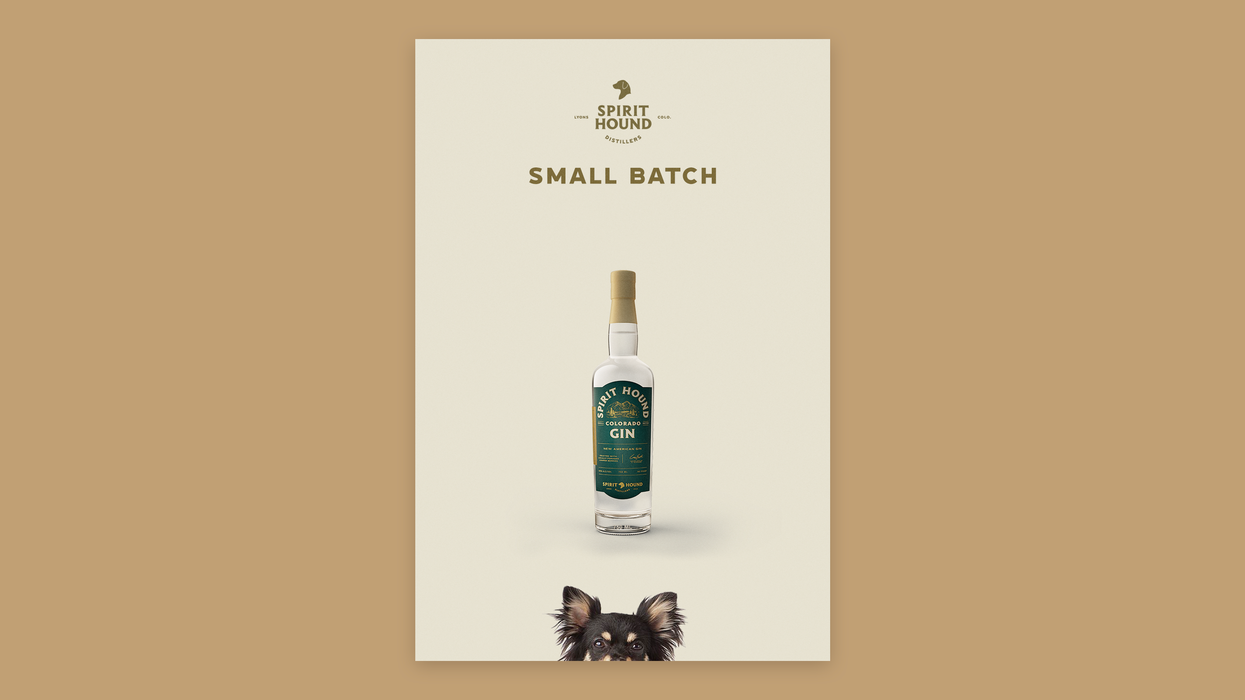 images.squarespace-cdn.com-77831323655892540.png