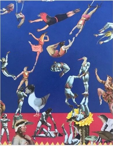 Reflecting on Life Transitions