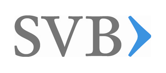 SVB logo with gray letters and a blue arrow.