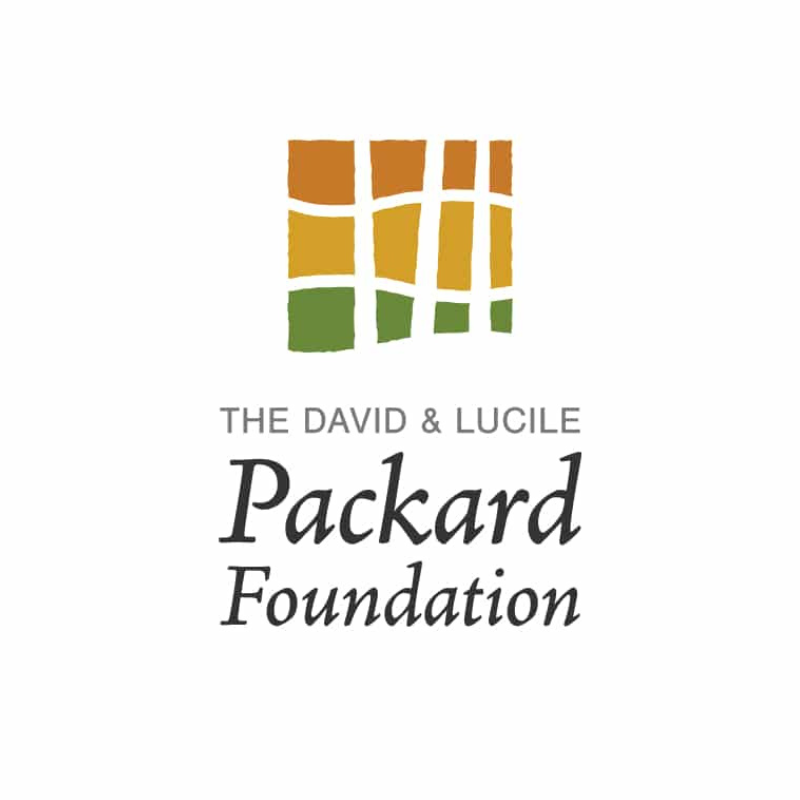 Logo of the Packard Foundation with a stylized, multicolored grid pattern in shades of brown, yellow, and green, and text that reads 'The David & Lucile Packard Foundation'.