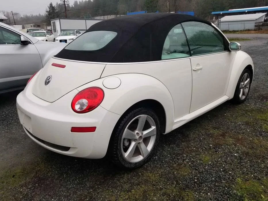 beetle3.jpg