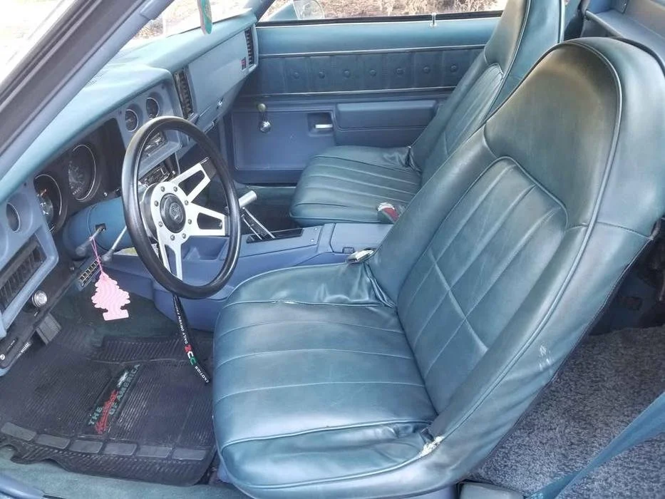 elcamino6.jpg