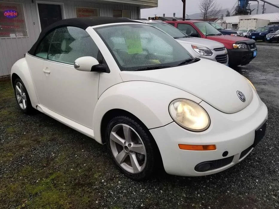 beetle2.jpg