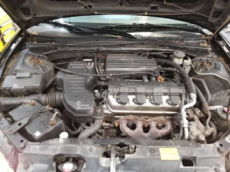 civic8.jpg