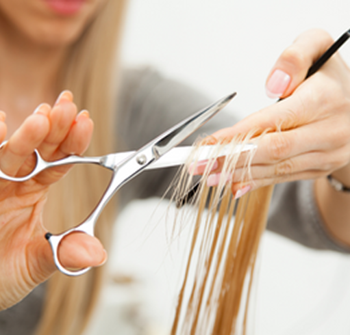 Person cutting hair with scissors during a haircut.