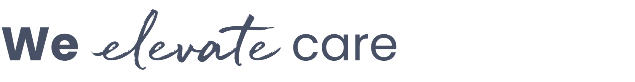Text reading 'We elevate care' on a white background with a mix of bold and cursive fonts.