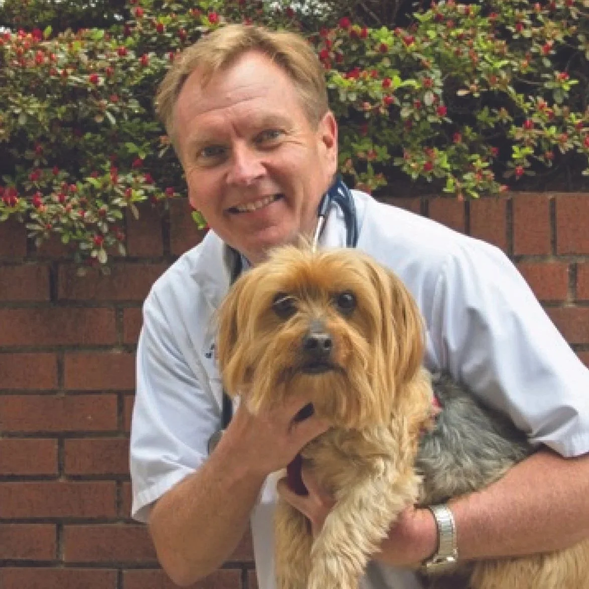A man dressed as a veterinarian holding a small brown dog in front of a brick wall with flowering bushes.
