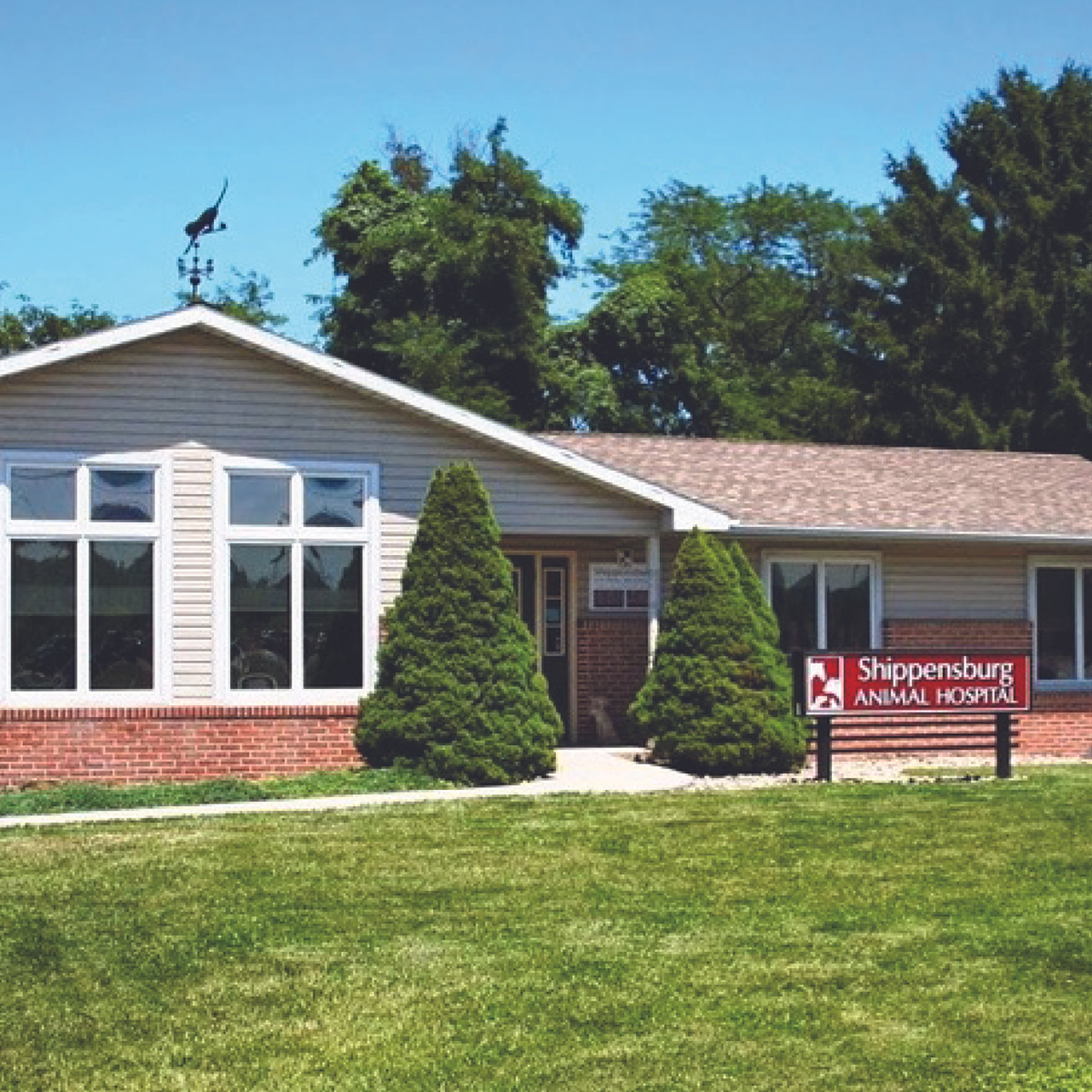 A building with a sign that reads 'Shippensburg Animal Hospital,' featuring a brick and siding exterior, large front windows, and trimmed bushes in front.