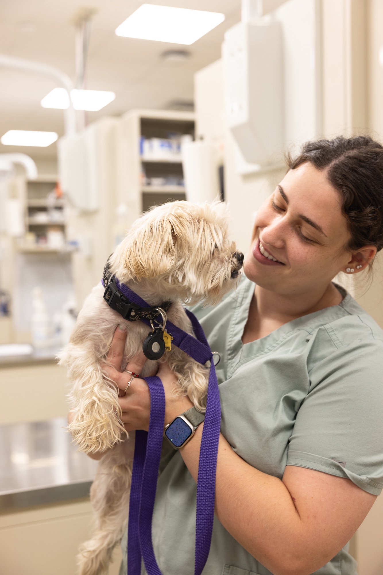 A veterinarian holding a small dog in a veterinary clinic.