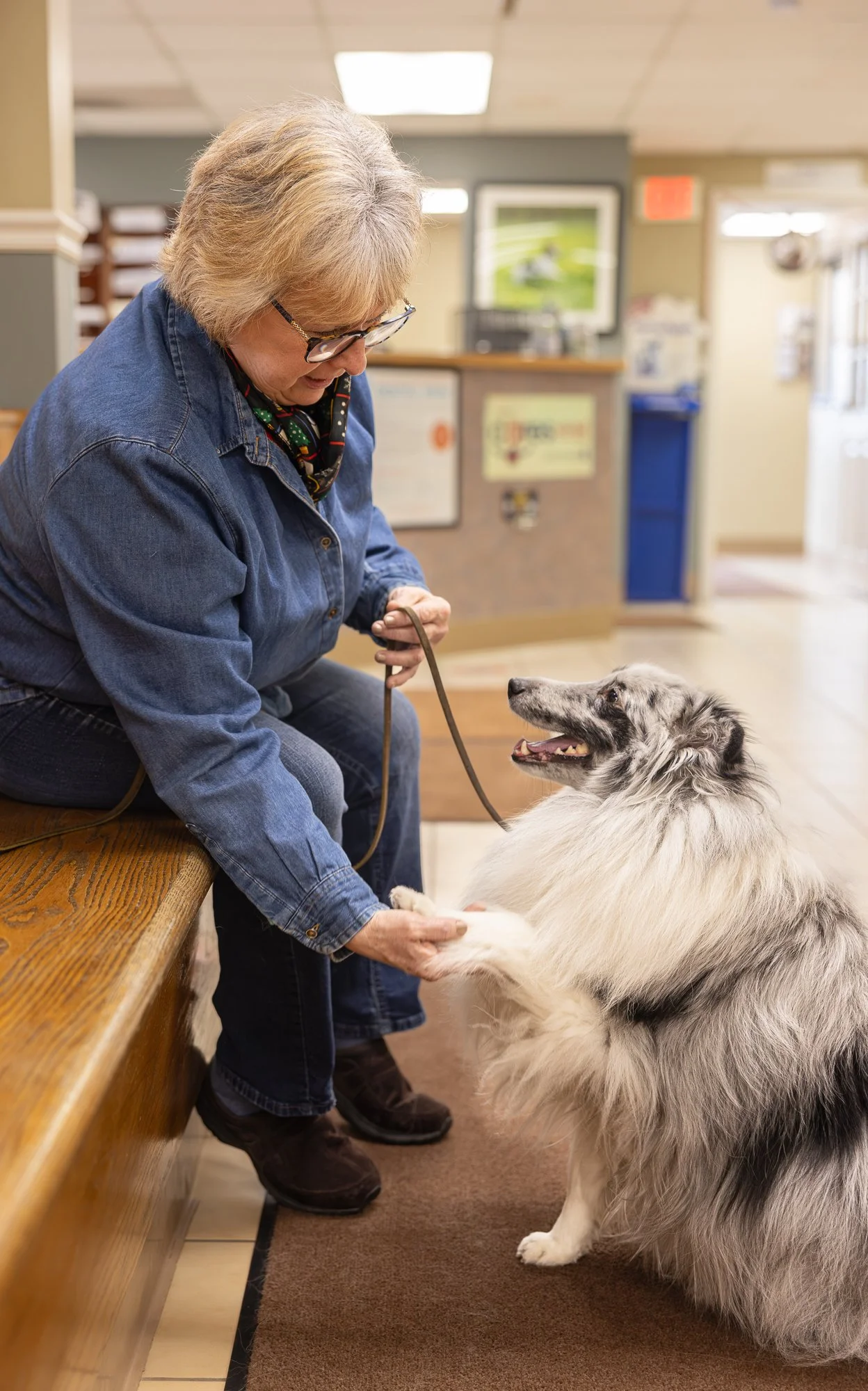 A woman with glasses and a denim jacket sitting on a bench, holding hands with a fluffy, gray and white dog inside a building, likely a veterinary clinic or pet care facility.