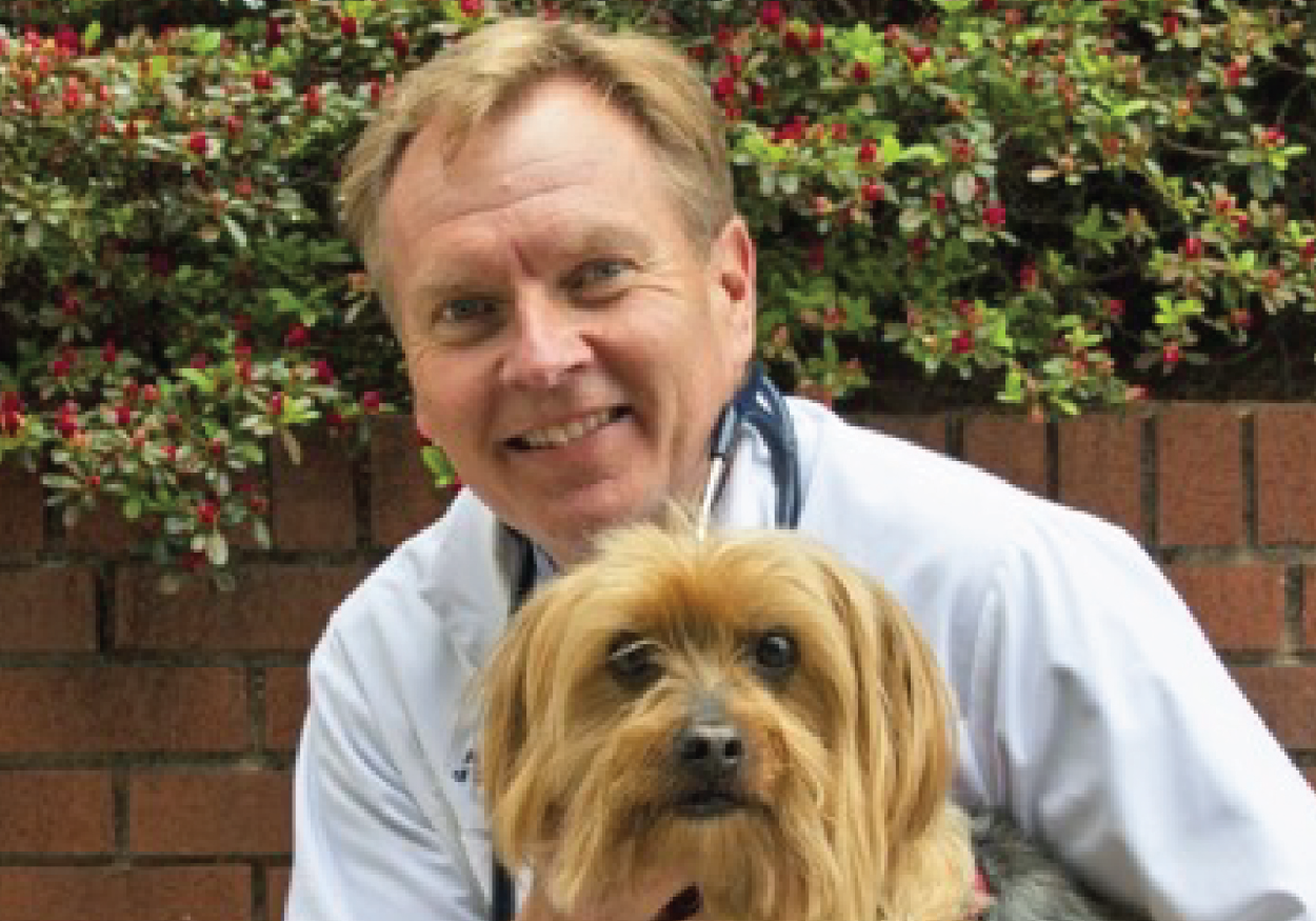 Dr. Robert Sarsfield