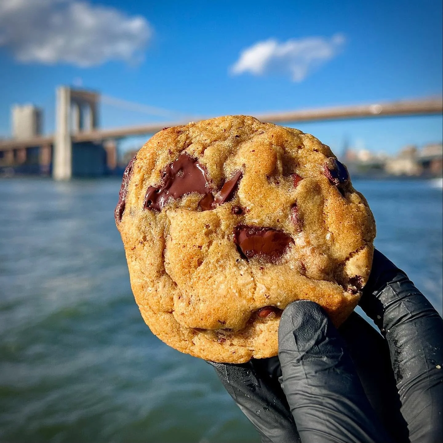 Introducing the Salted Chocolate Chip Cookie! Delectably sweet &amp; salty cookie with chunks of melted chocolate &amp; chocolate chips. Sprinkled with Maldon sea salt. A classic through and through. #chocolatechip #brooklynbaker #sweetandsalty #fres