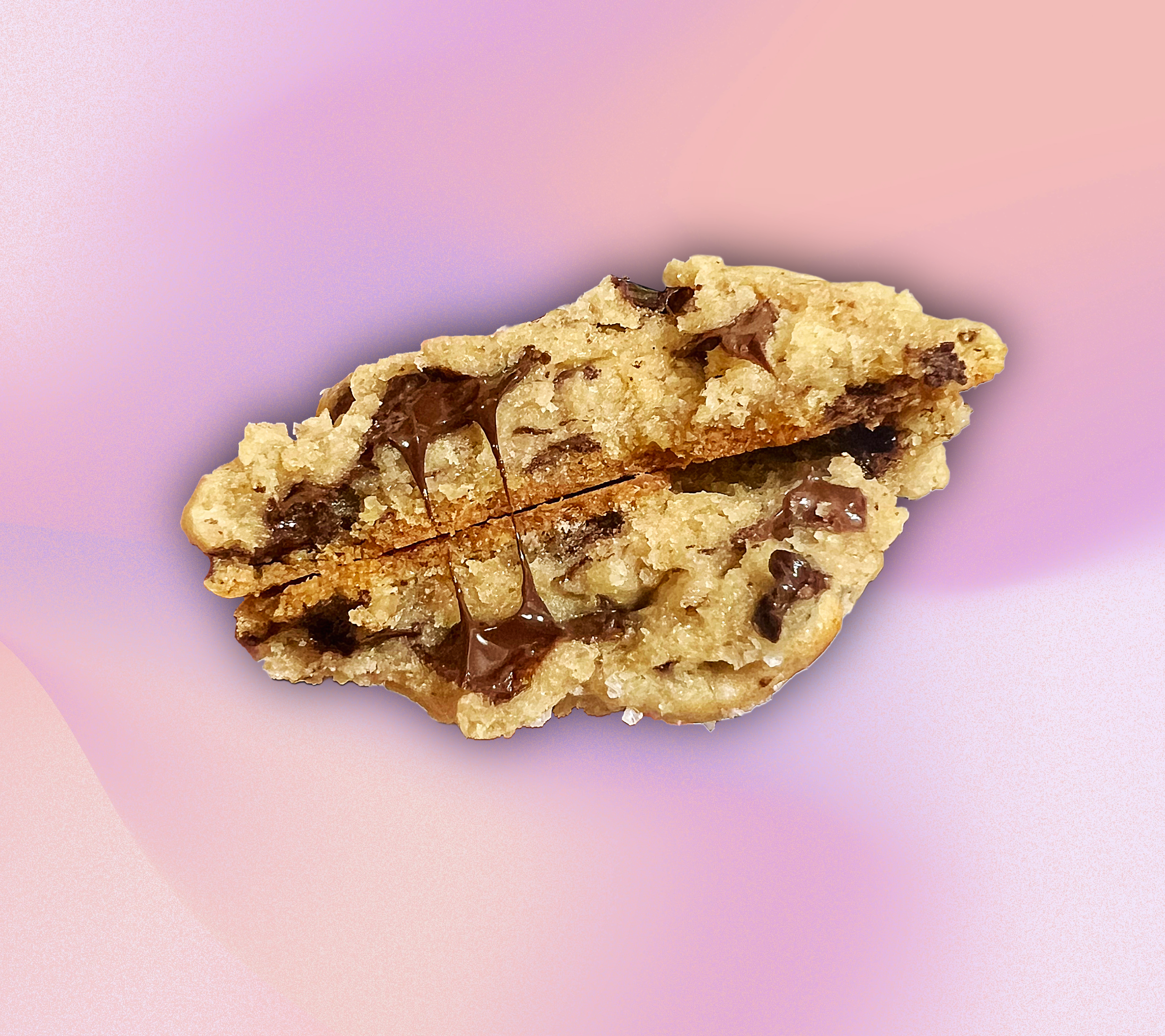 Salted Chocolate Chip Cookie