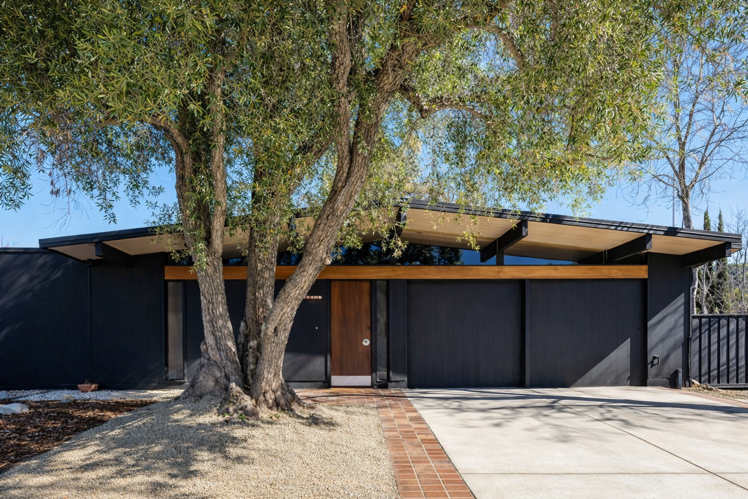 Front view of a modern house with a black exterior, wooden door, and a flat roof, partially obscured by a large tree in the foreground, with a concrete driveway and brick pathway.