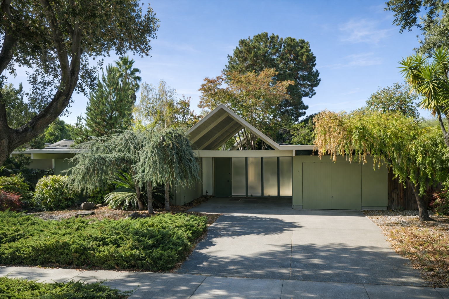 Modern house with a sloped roof and large sliding glass doors, surrounded by lush trees and shrubs, on a sunny day with a blue sky.