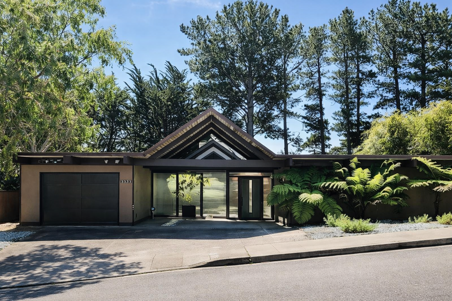 Modern single-story house with black garage door, glass entrance door, surrounded by tall trees and lush green plants.