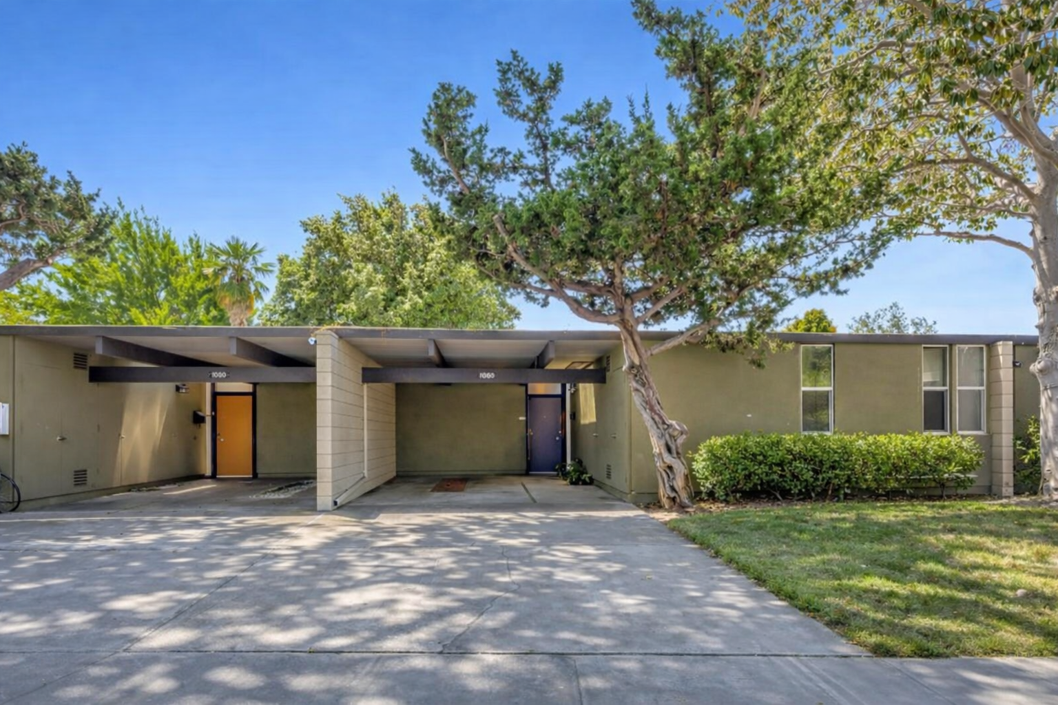 Single-story residential building with two carports, three tall trees in front, green bushes, and a sidewalk on a sunny day.