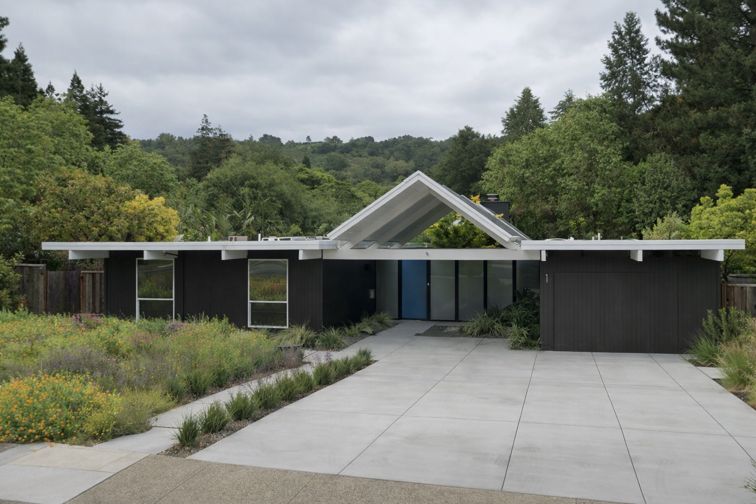 Modern black house with a distinctive angular roof, large windows, and a concrete driveway surrounded by landscaped plants and trees, with a hilly, green forest in the background.