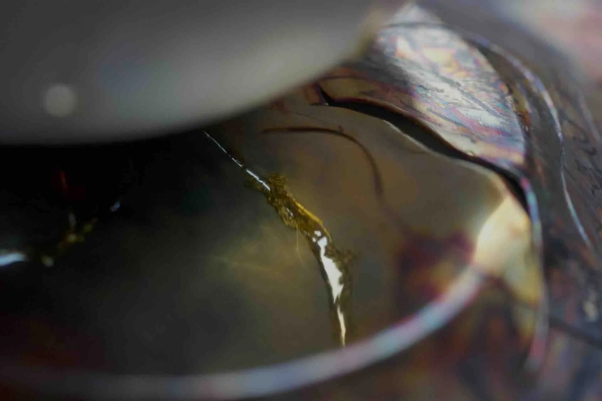 Morvarid Alavifard NC2.jpg