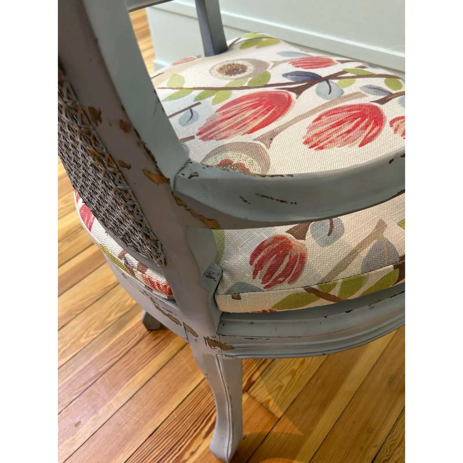 antique-painted-french-cane-chairs-with-custom-removable-cushions-set-of-2-5794 (1).jpg